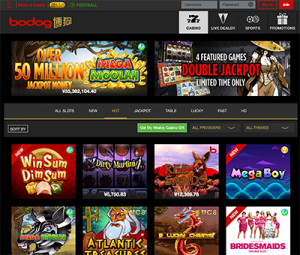 Bodog88 instant play desktop casino site