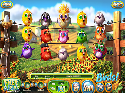 Birds slot game