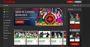 Bodog high-stakes casino website